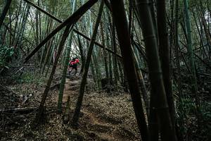 BIB: 
                            <button type="button" onclick="openModal(22242025)" class="btn btn-primary btn-sm float-right btn-popup" data-toggle="modal" data-target=".modal-high-quality">
                        <i class="fas fa-shopping-cart"></i> Add to Cart
                    </button>
                                            <button type="button" onclick="isThisMe(22242025, true)" class="btn btn-success btn-sm float-right btn-popup btn-isme hidden" data-toggle="tooltip" data-placement="bottom" title="นี่คือรูปของคุณใช่ไหม คลิกที่นี่เพื่อเอาเข้าอัลบั้ม">
                        <i class="fas fa-plus"></i> Add to album
                    </button>
                    <button type="button" onclick="isThisMe(22242025, false)" class="btn btn-warning btn-sm float-right btn-popup btn-isnotme hidden">
                        <i class="fas fa-ban"></i> Remove from album
                    </button>